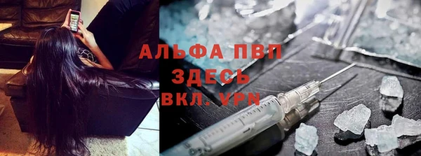 гидра Горняк