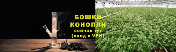 трава Горнозаводск