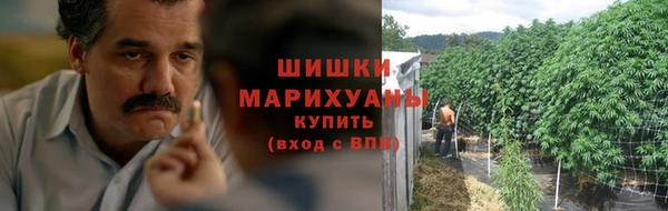 гидра Горняк