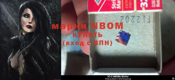 гидра Горняк