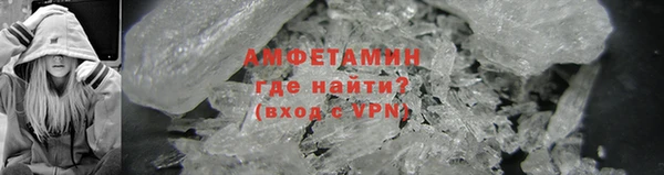 гидра Горняк