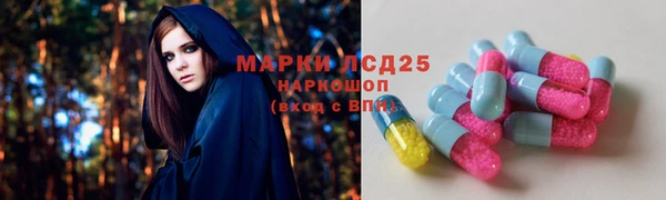 гидра Горняк