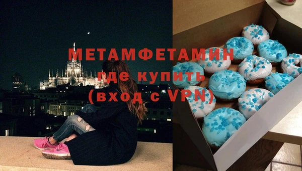 гидра Горняк