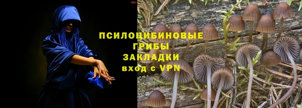 стаф Горно-Алтайск