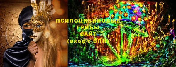 гидра Горняк