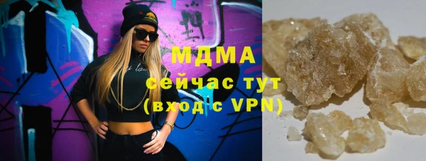 гидра Горняк